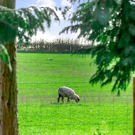Cedar Retreats Ferienpark